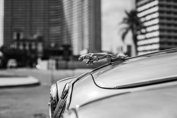 Kasino Extra Apl Android/iOS